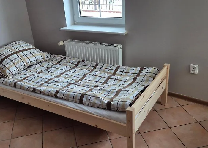 Lotta Autobus Na Targi Mtp, Darmowy Parking, Samodzielny Meldunek Poznan