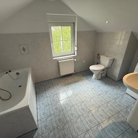 Lotta Autobus Na Targi Mtp, Darmowy Parking, Samodzielny Meldunek Poznan