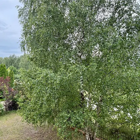 Lotta Autobus Na Targi Mtp, Darmowy Parking, Samodzielny Meldunek بوزنان