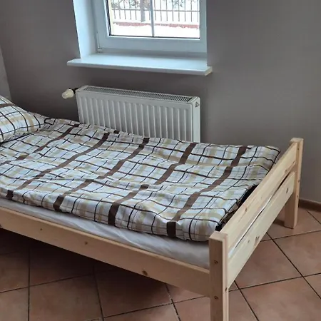 Lotta Autobus Na Targi Mtp, Darmowy Parking, Samodzielny Meldunek Poznan