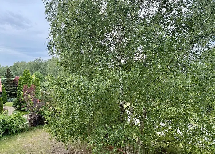 Lotta Autobus Na Targi Mtp, Darmowy Parking, Samodzielny Meldunek بوزنان