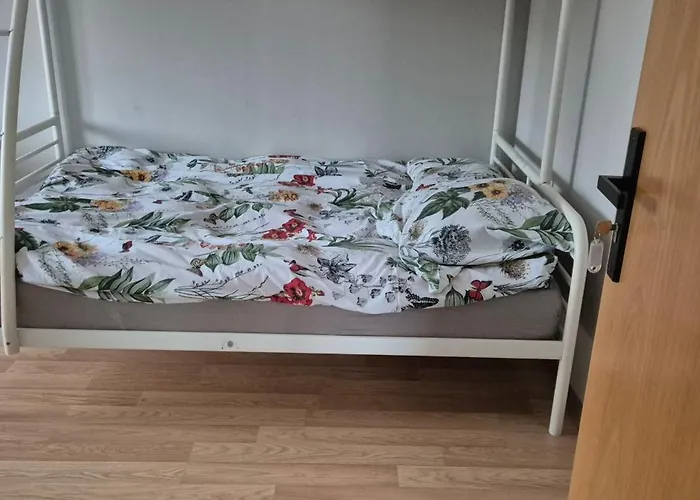 Lotta Autobus Na Targi Mtp, Darmowy Parking, Samodzielny Meldunek * Poznań