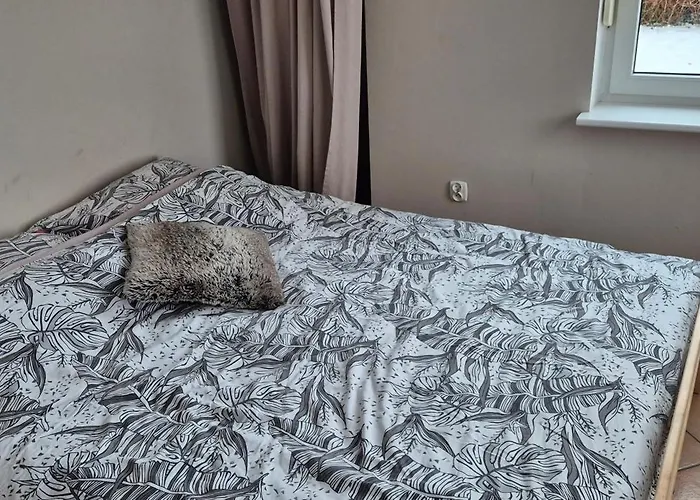 Lotta Autobus Na Targi Mtp, Darmowy Parking, Samodzielny Meldunek