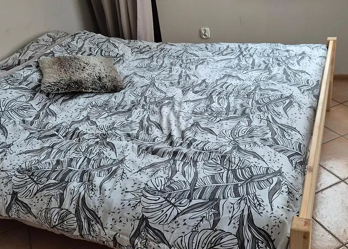 Lotta Autobus Na Targi Mtp, Darmowy Parking, Samodzielny Meldunek *